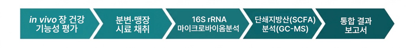 in vivo 장 건강 기능성 평가 - 분변·맹장 시료 채취 - 16S rRNA 마이크로바이옴 분석 - 단쇄지방산(SCFA) 분석(GC-MS) - 통합 결과 보고서
